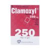 00001906 Clamoxyl 250 Mg 6291 5b69 Large