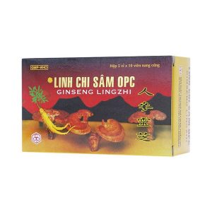 00004425 Linh Chi Sam Bo Khi Huyet Duong Tam An Than 2333 5b1e Large