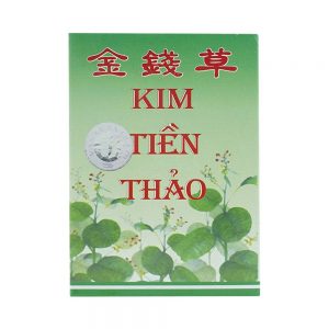 00018051 Kim Tien Thao Van Xuan 10x10 5185 5bc5 Large
