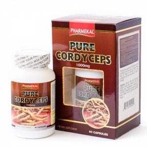 00345341 Dong Trung Ha Thao Pure Cordyceps 8634 5c34 Large