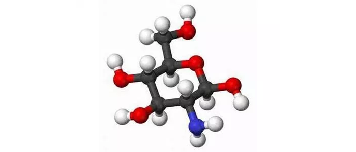 Glucosamine & Chondroitin 946Ml