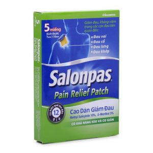 Salonpas Pain Relief Patch 5m 2