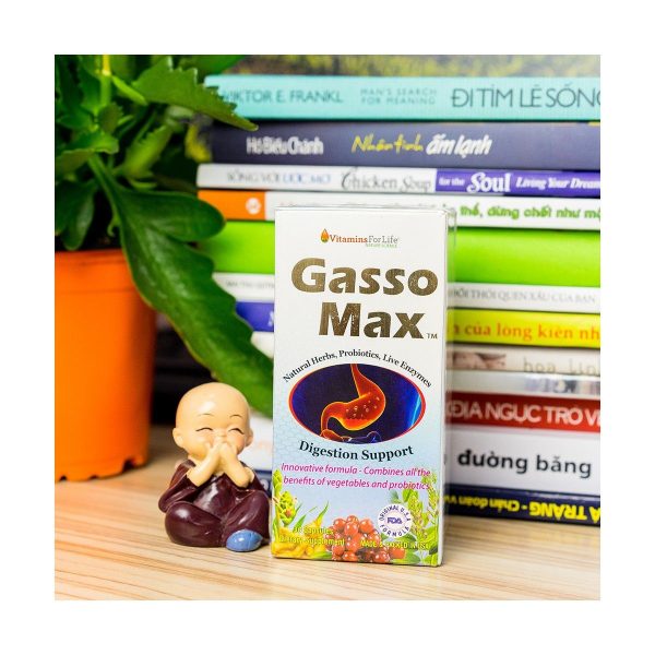 Gasso Max2