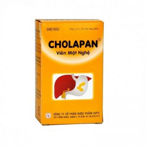 Cholapan 1605 Copy